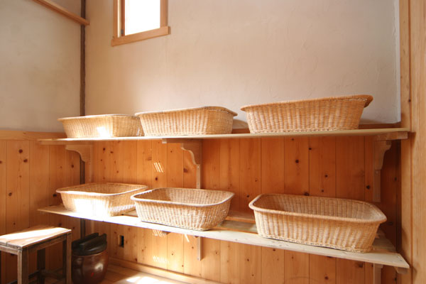 �I�V�I�����p